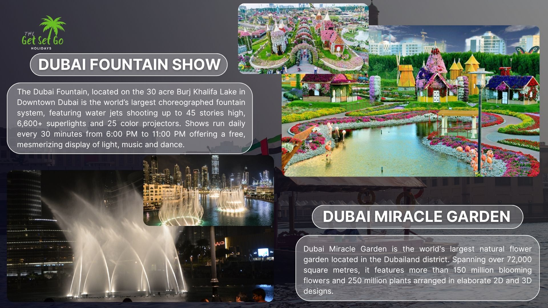 Dubai Family Adventure
