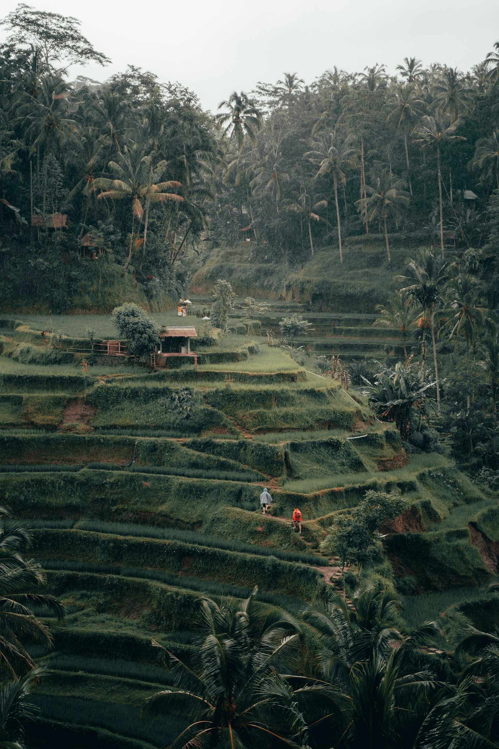 Bali Travel Tips for First-Timers