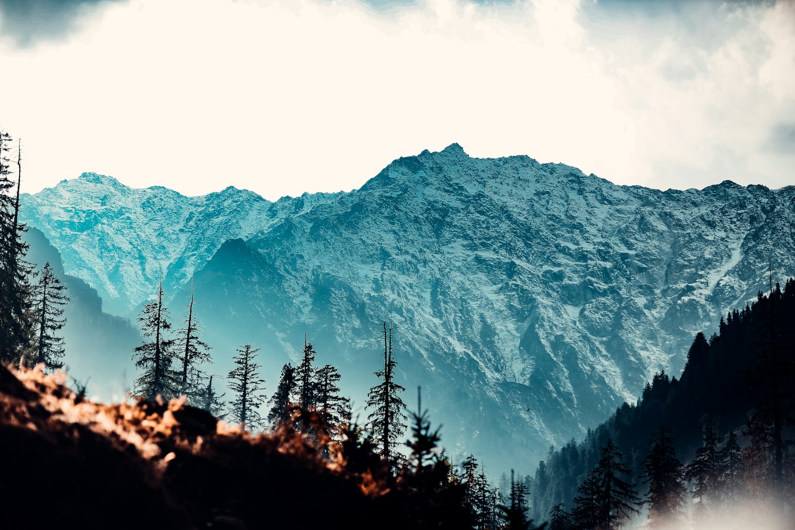 Himachal
